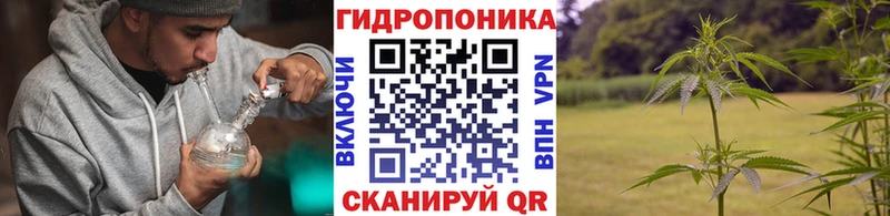 Наркошоп Дно Псилоцибиновые грибы A-PVP Гашиш Метамфетамин МАРИХУАНА