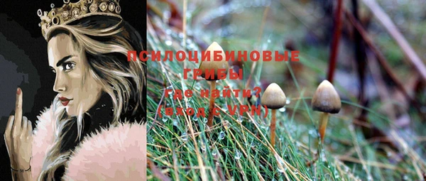 ГАЛЛЮЦИНОГЕННЫЕ ГРИБЫ Богородицк