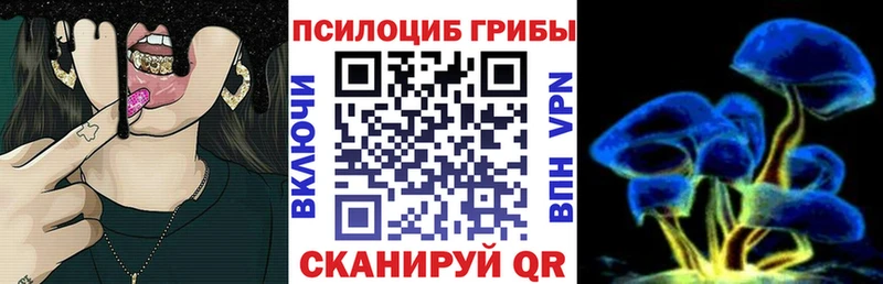 как найти закладки  Дно  Галлюциногенные грибы Psilocybine cubensis 